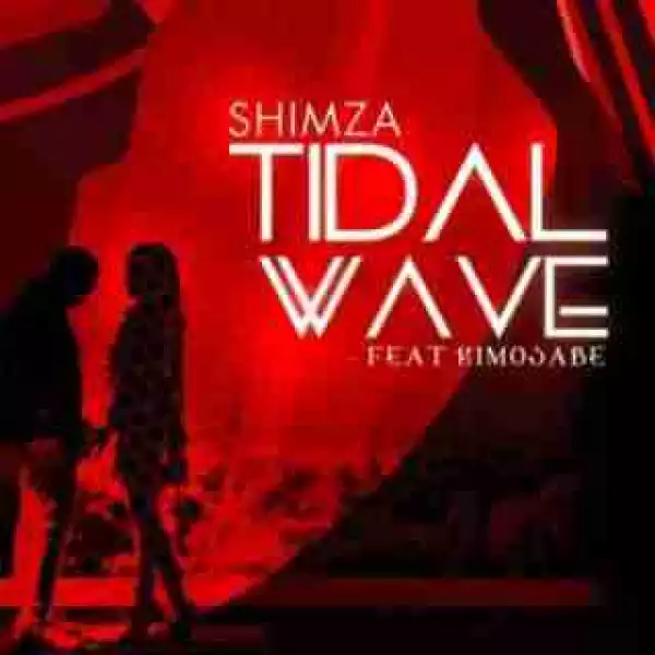 DJ Shimza - Tidal Wave ft. Kimosabe